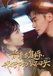 前妻求復婚，我扔下協議不回頭(全集)