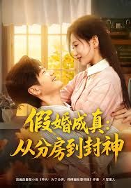 假婚成真從分房到封神（房風云重生守護師娘）(全集)