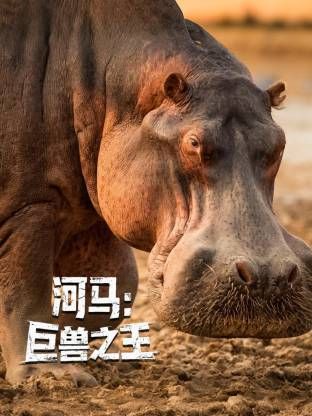河馬：巨獸之王(全集)