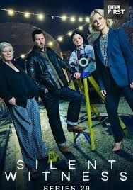 無聲的證言第二十九季(全集)