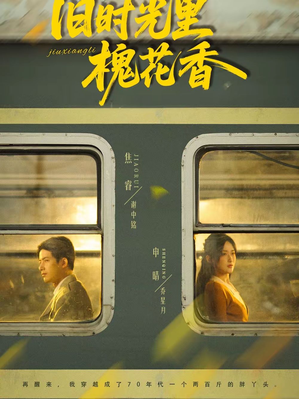 舊時光里槐花香(全集)