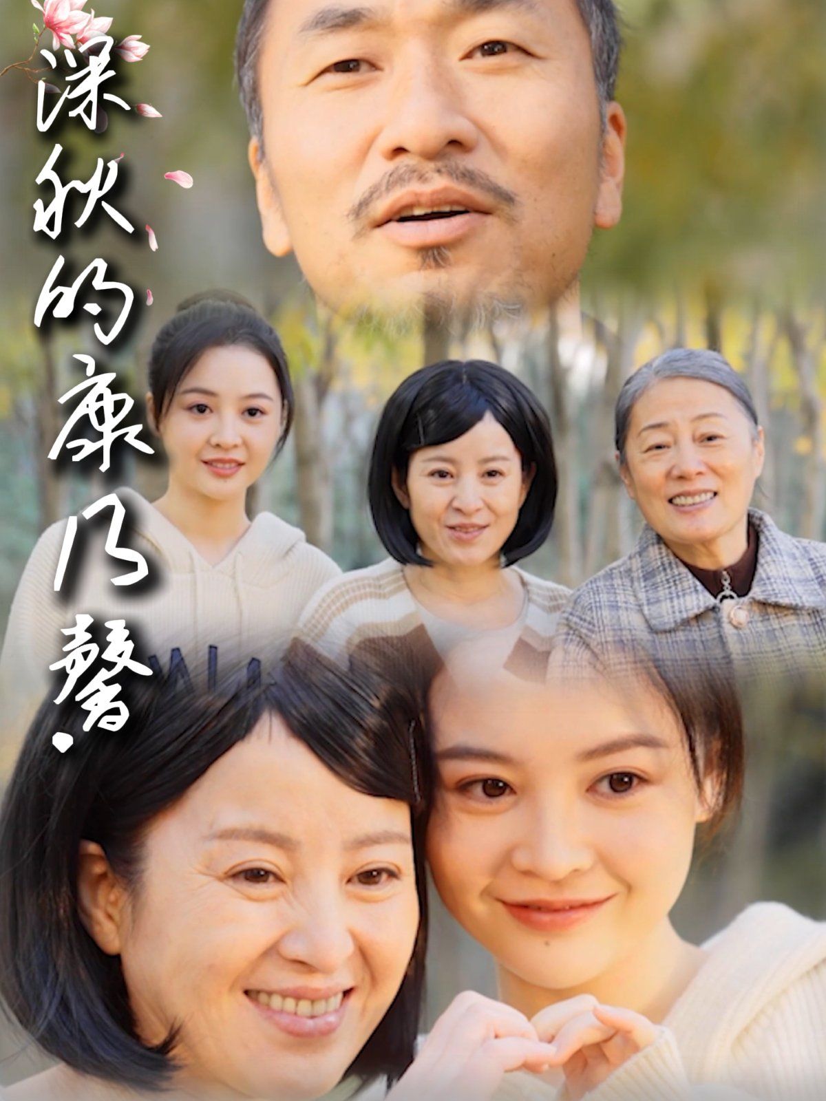 深秋的康乃馨(全集)