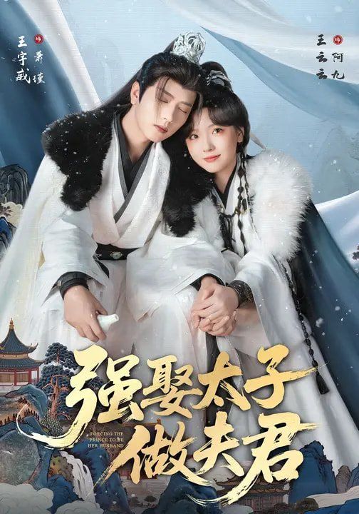 強(qiáng)娶太子做夫君(全集)