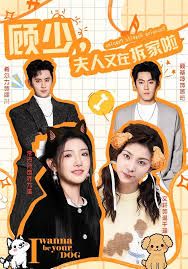 顧少，夫人又在拆家啦(全集)