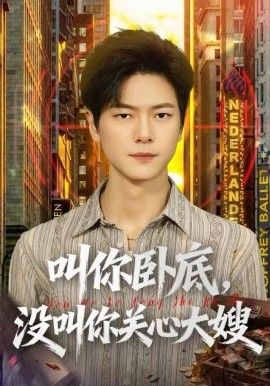 叫你臥底，沒叫你關心大嫂(全集)