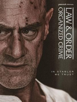 法律與秩序：組織犯罪 第五季(全集)