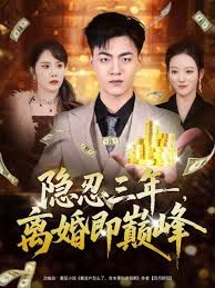 隱忍三年，離婚即巔峰(全集)