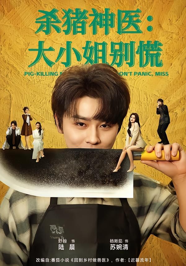 殺豬神醫(yī)，大小姐別慌(全集)