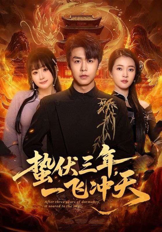 蟄伏三年，一飛沖天(全集)