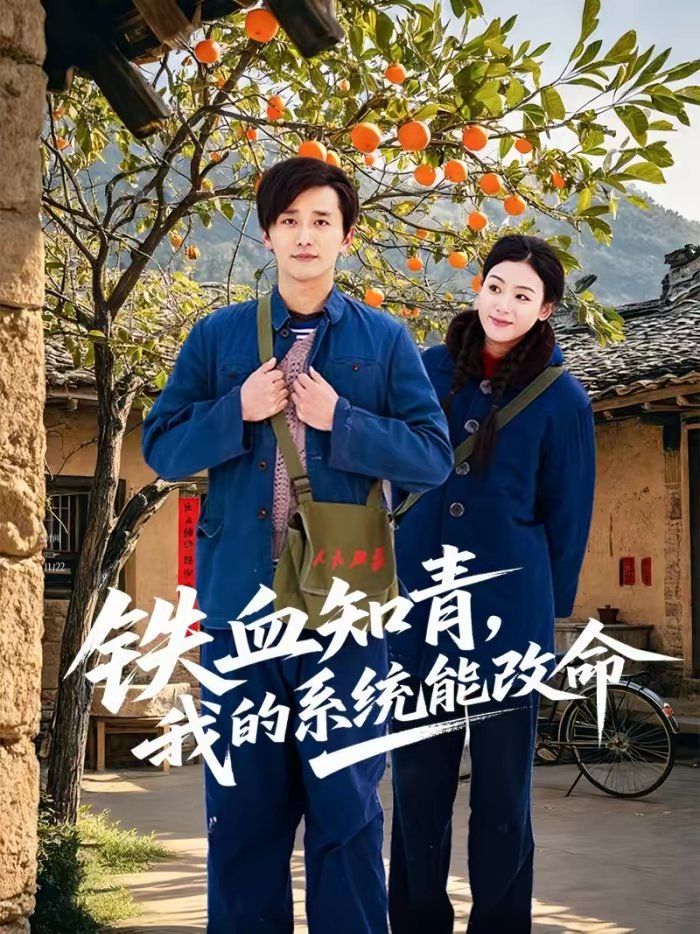 鐵血知青，我的系統能改命(全集)