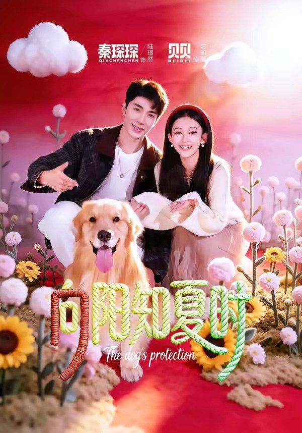 向陽知夏時(全集)