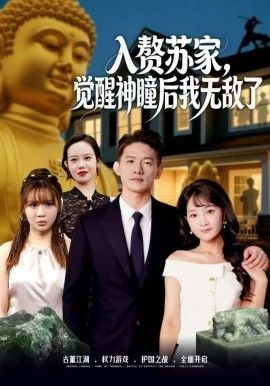 贅蘇家，覺醒神瞳后我無敵了(全集)