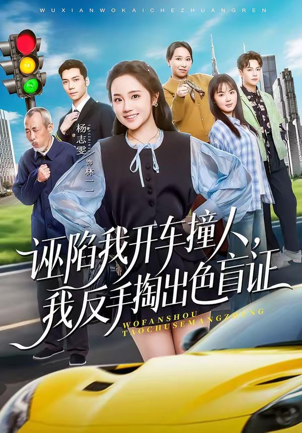 誣陷我開車撞人，我反手掏出色盲(全集)