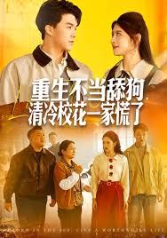 重生不當(dāng)舔狗，清冷校花一家慌了(全集)