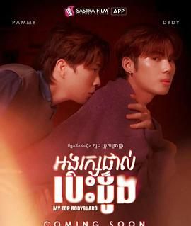 我的頂級保鏢(全集)