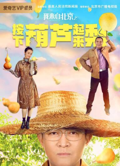 我來自北京之按下葫蘆起來梨(全集)