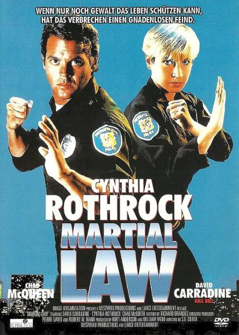 臥底飛龍(全集)