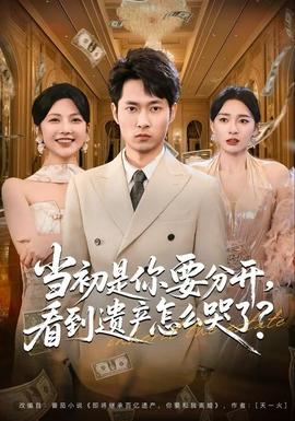 當初是你要分開，看到遺產怎么哭了？(全集)