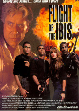 無(wú)敵雄鷹(普通話版)(全集)